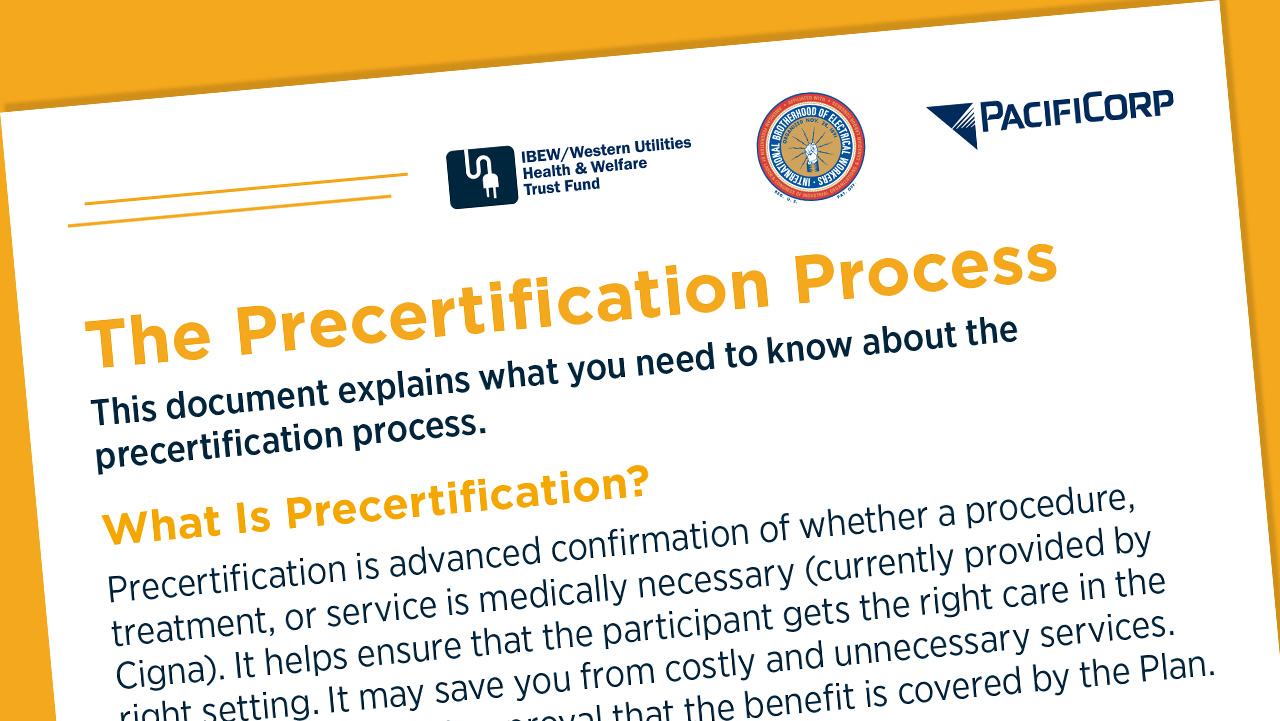 The Precertification Process PDF